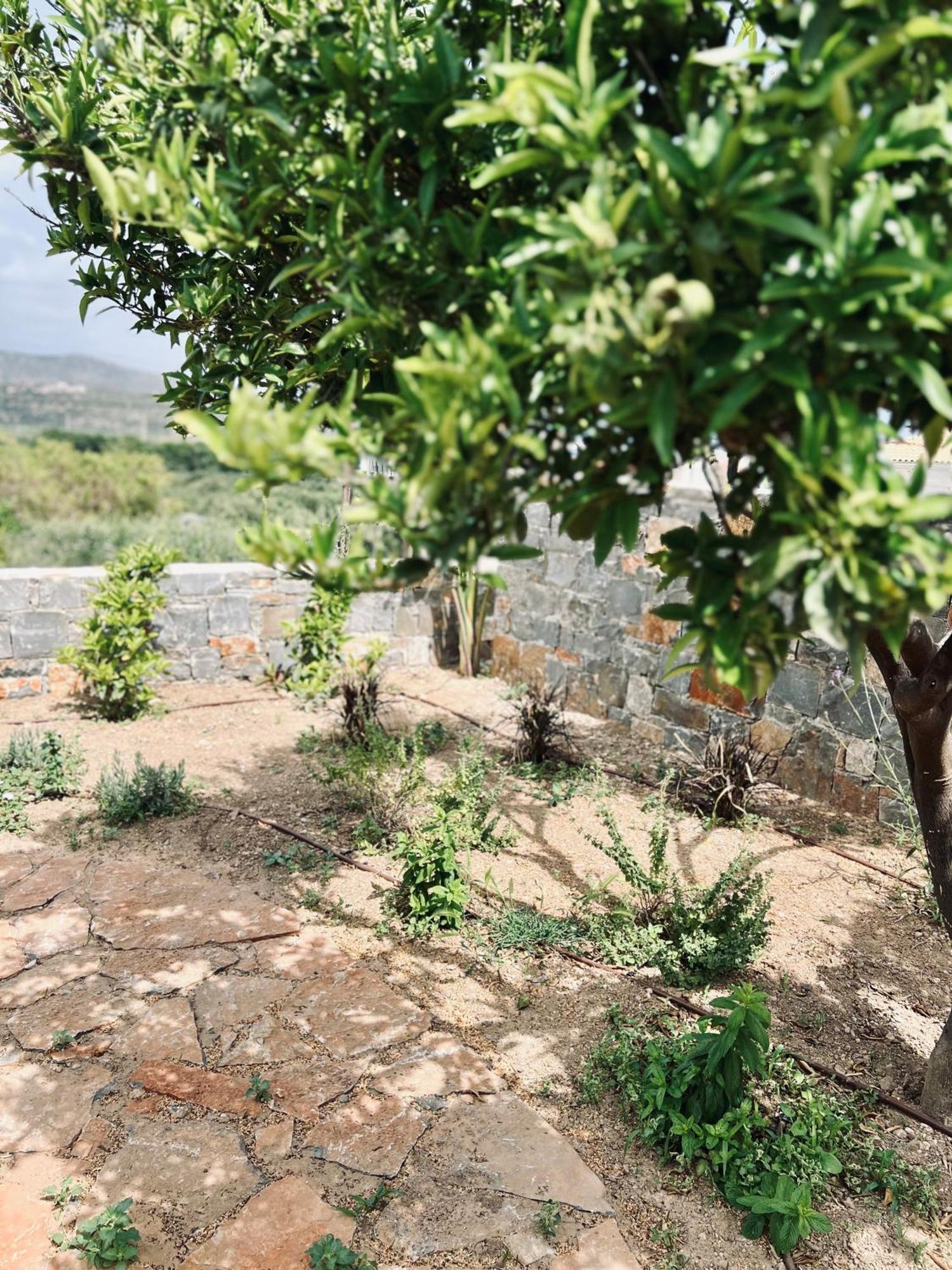 דירה Gioma Garden איסטרו