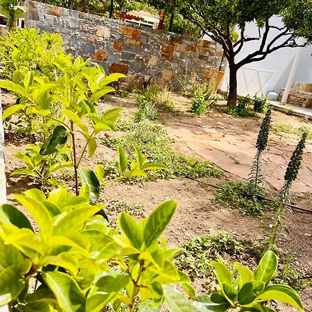 Gioma Garden Villas Istro Exterior photo