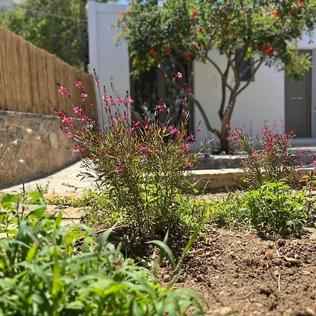Gioma Garden Villas Istro Exterior photo