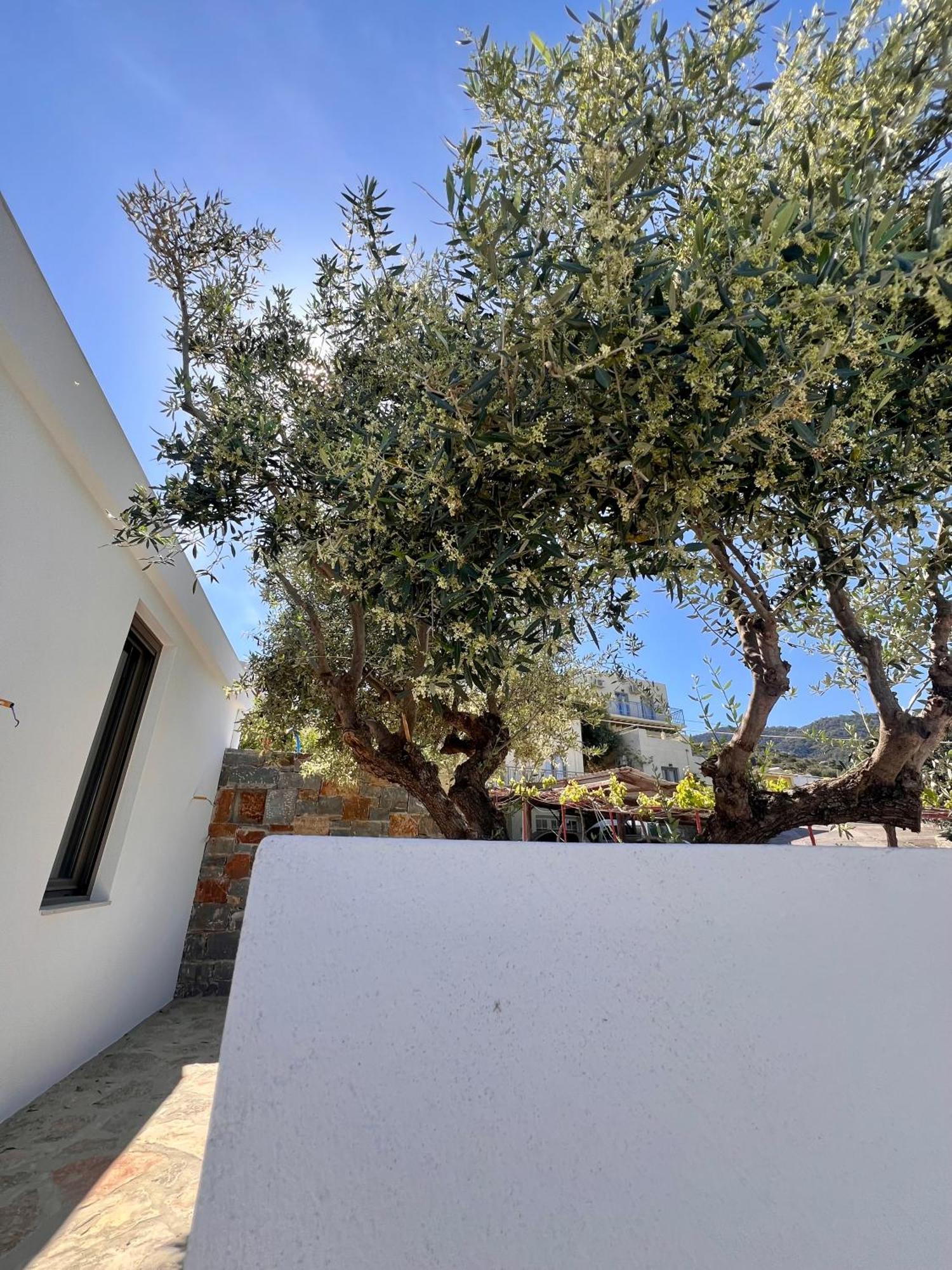 Gioma Garden Apartmán *
