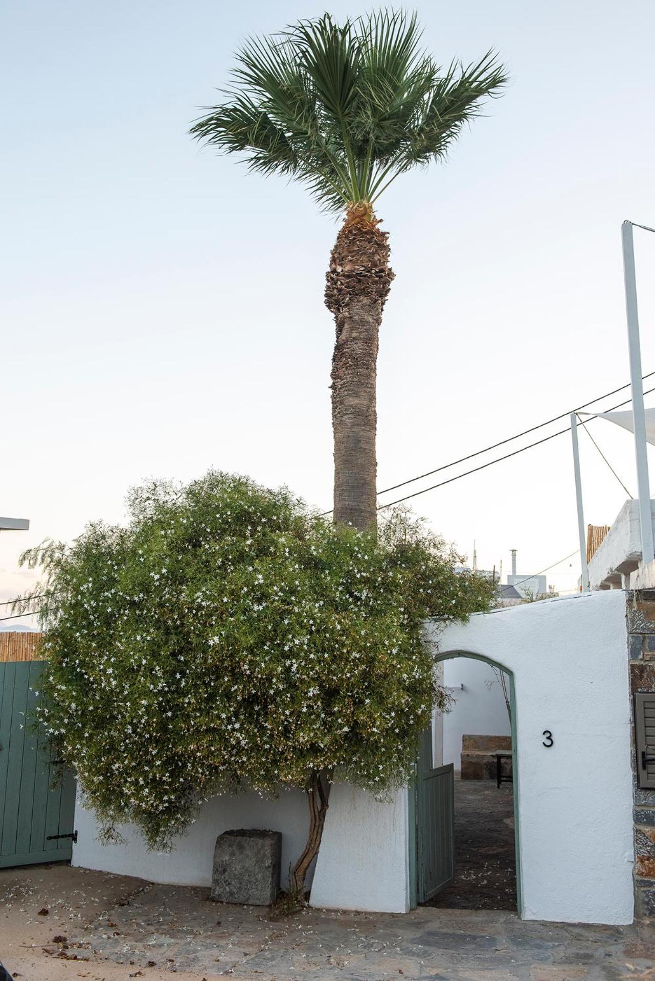 Apartment Gioma Garden Istro