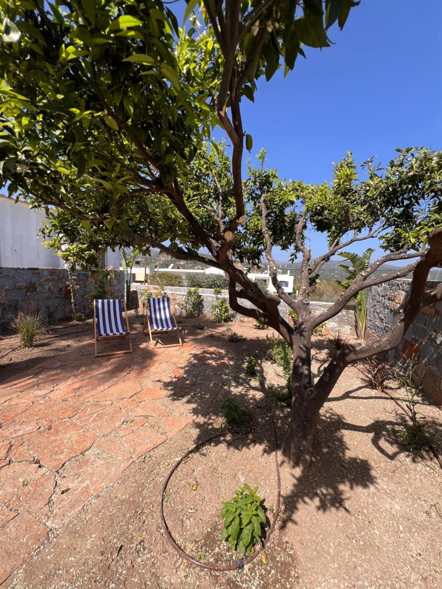 Apartment Gioma Garden