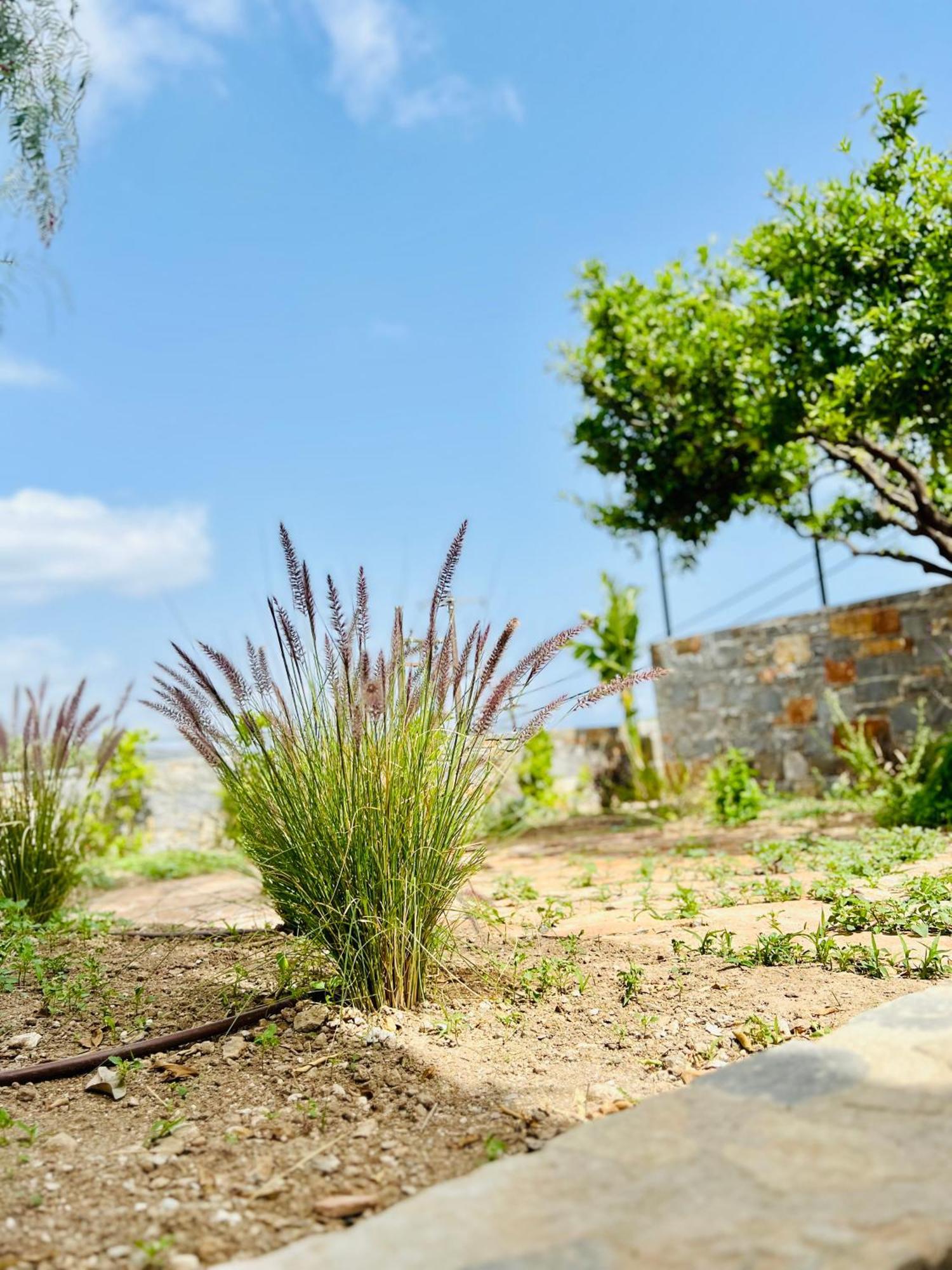 Gioma Garden *