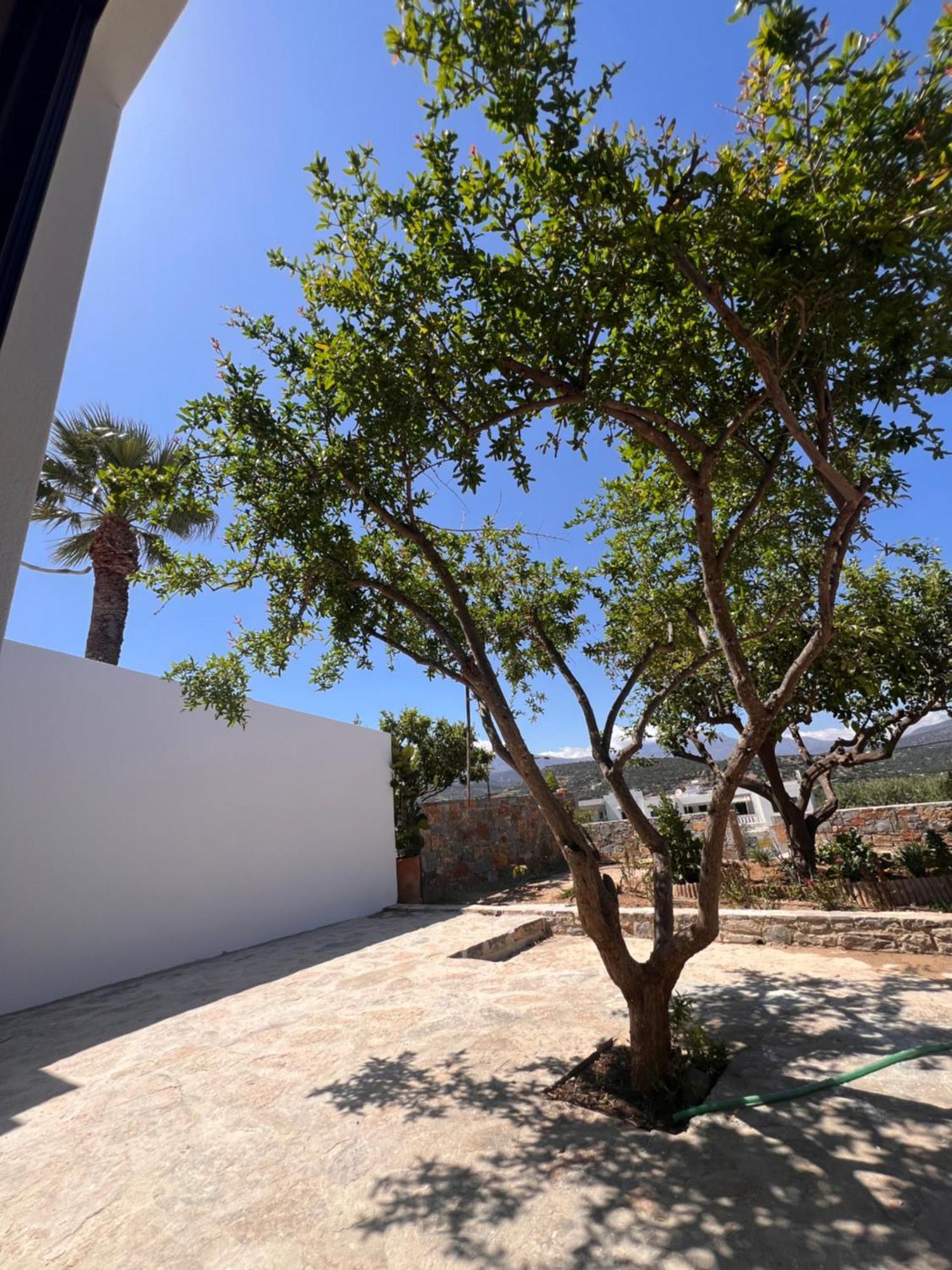 Gioma Garden * Istro