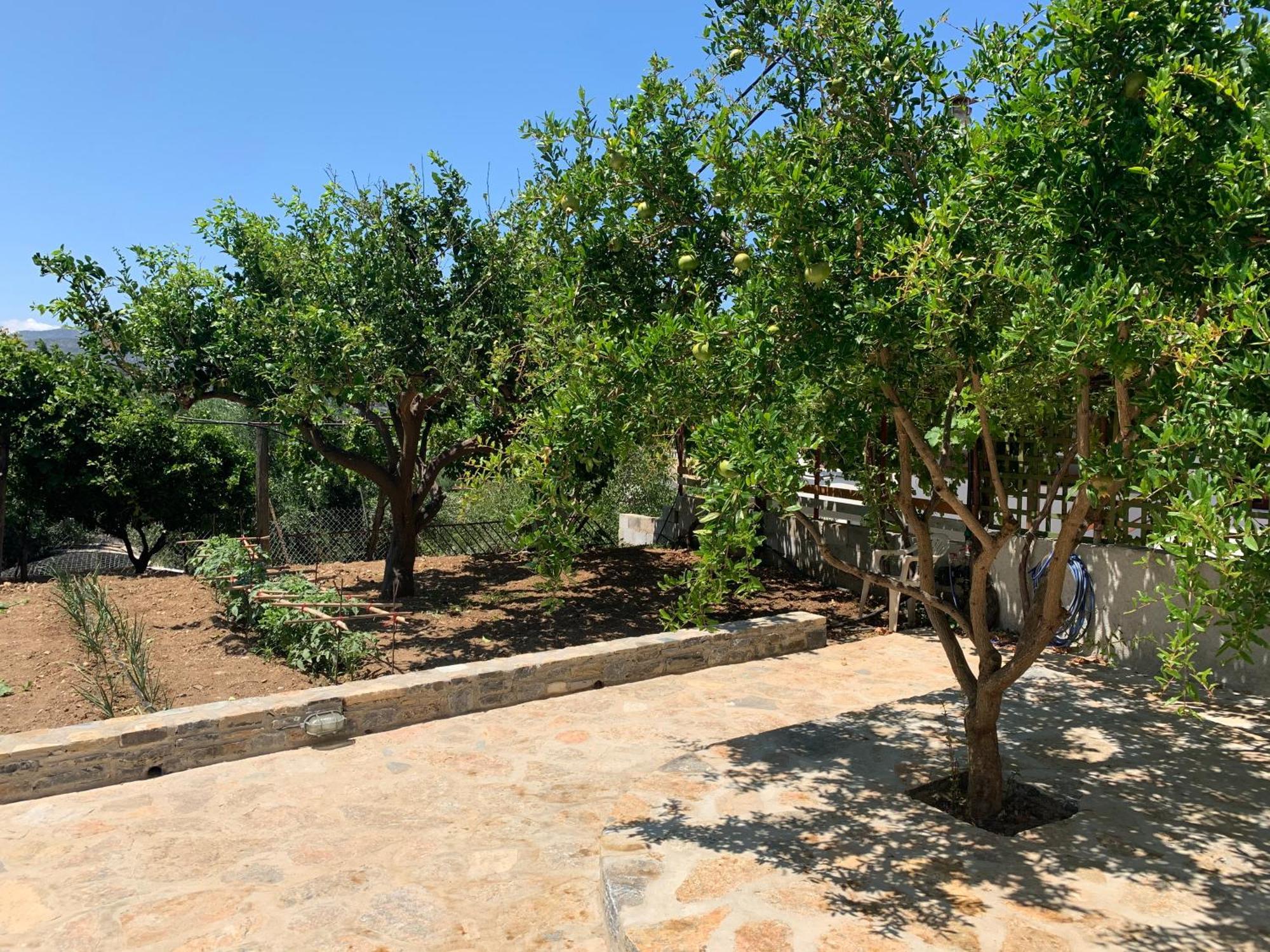 Gioma Garden Apartment *