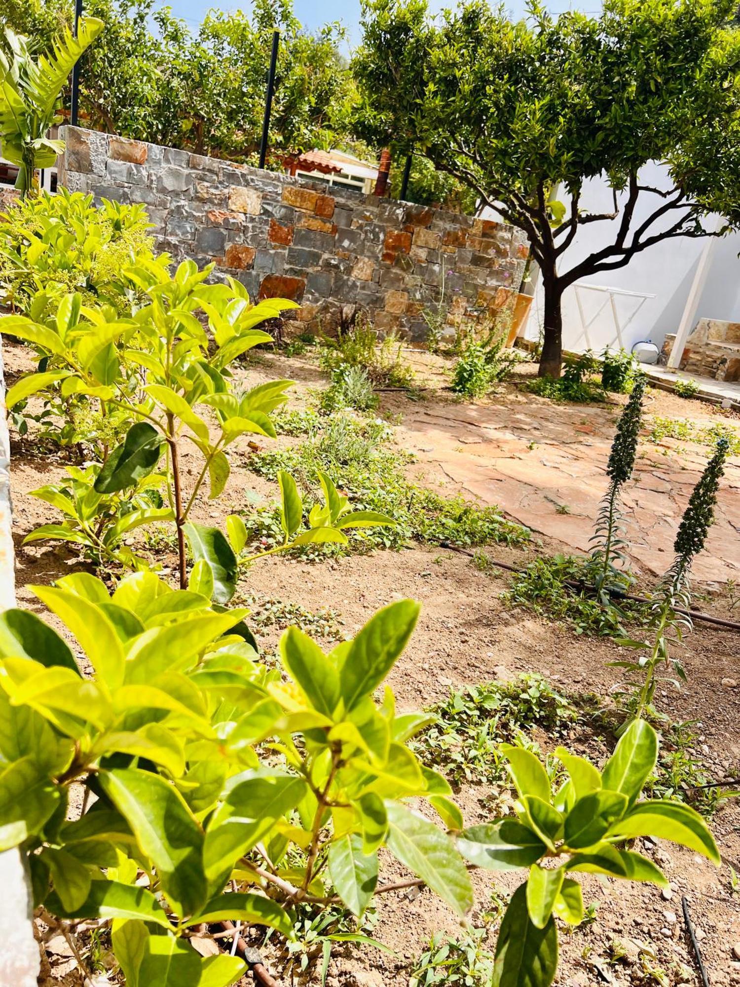 Gioma Garden Istro
