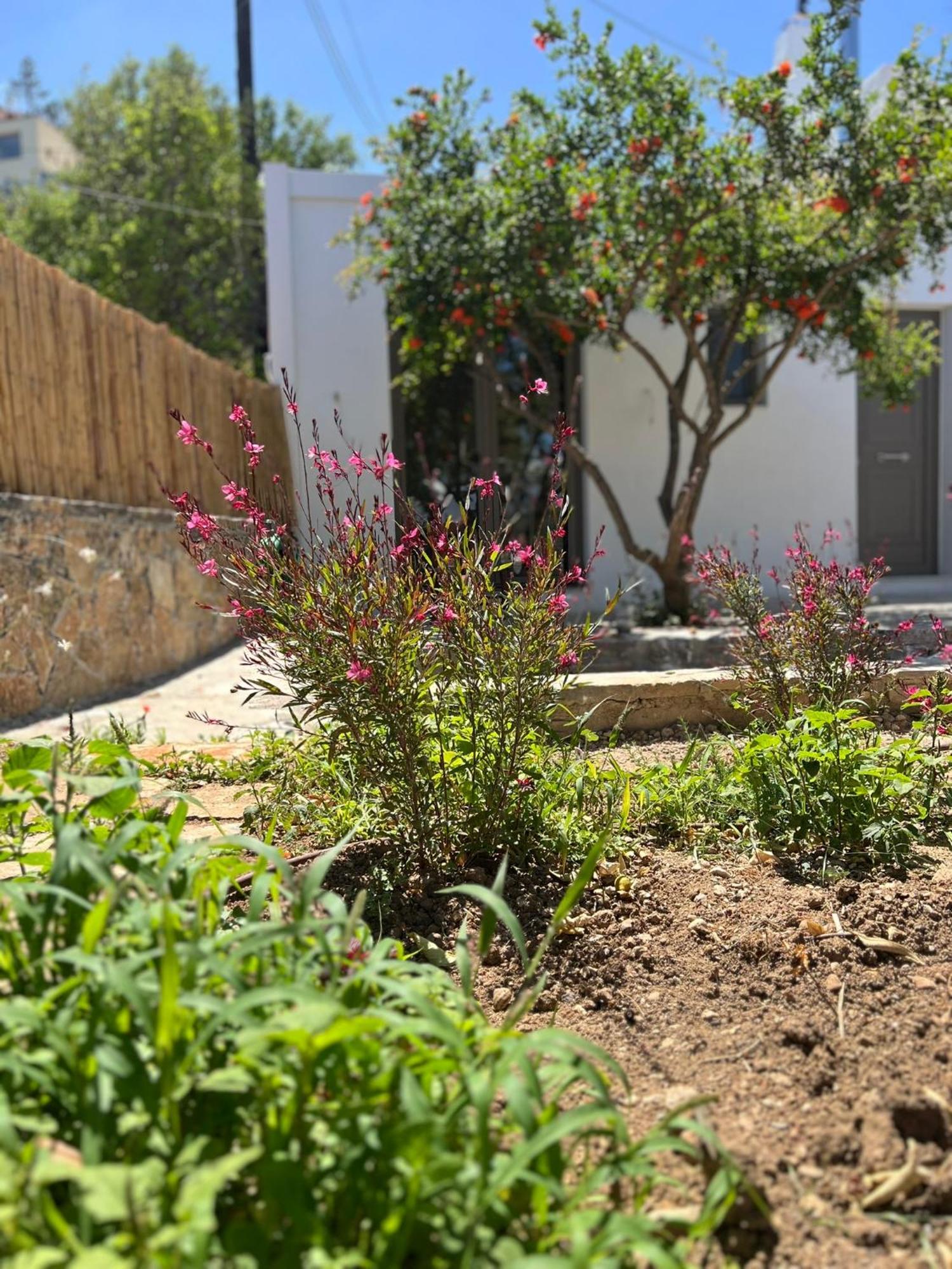 Gioma Garden Apartment