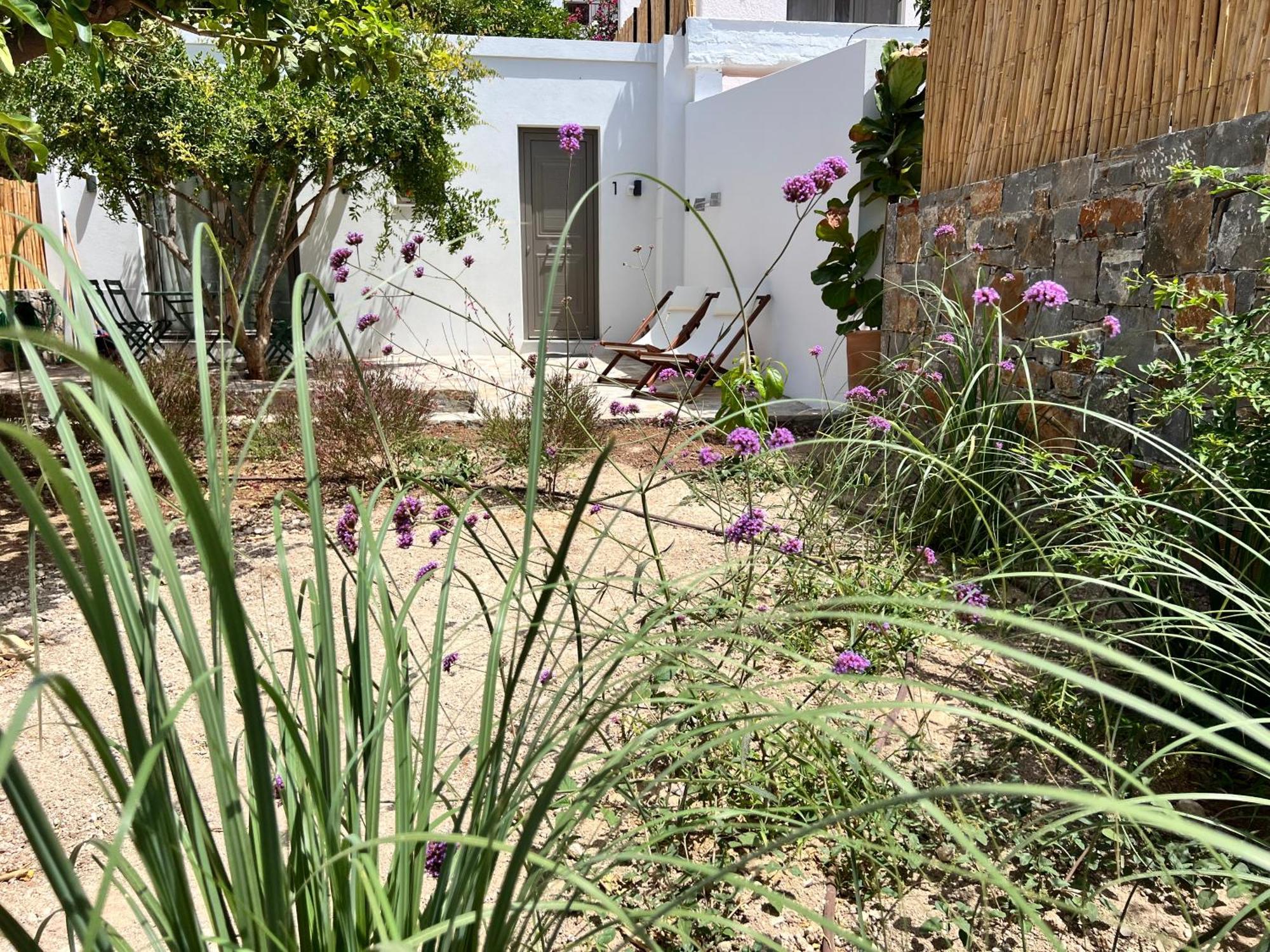 Gioma Garden Apartment